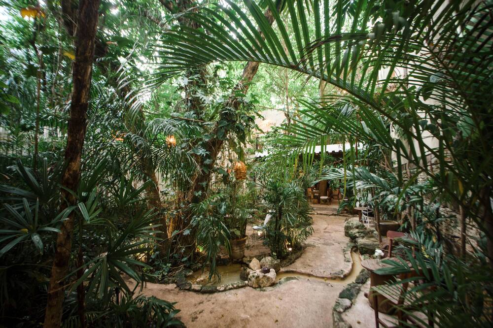 Hotel La Semilla, Playa del Carmen, a Member of Design Hotels - Adults Only