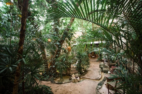 Hotel La Semilla, Playa del Carmen, a Member of Design Hotels - Adults Only