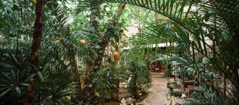 Hotel La Semilla, Playa del Carmen, a Member of Design Hotels - Adults Only