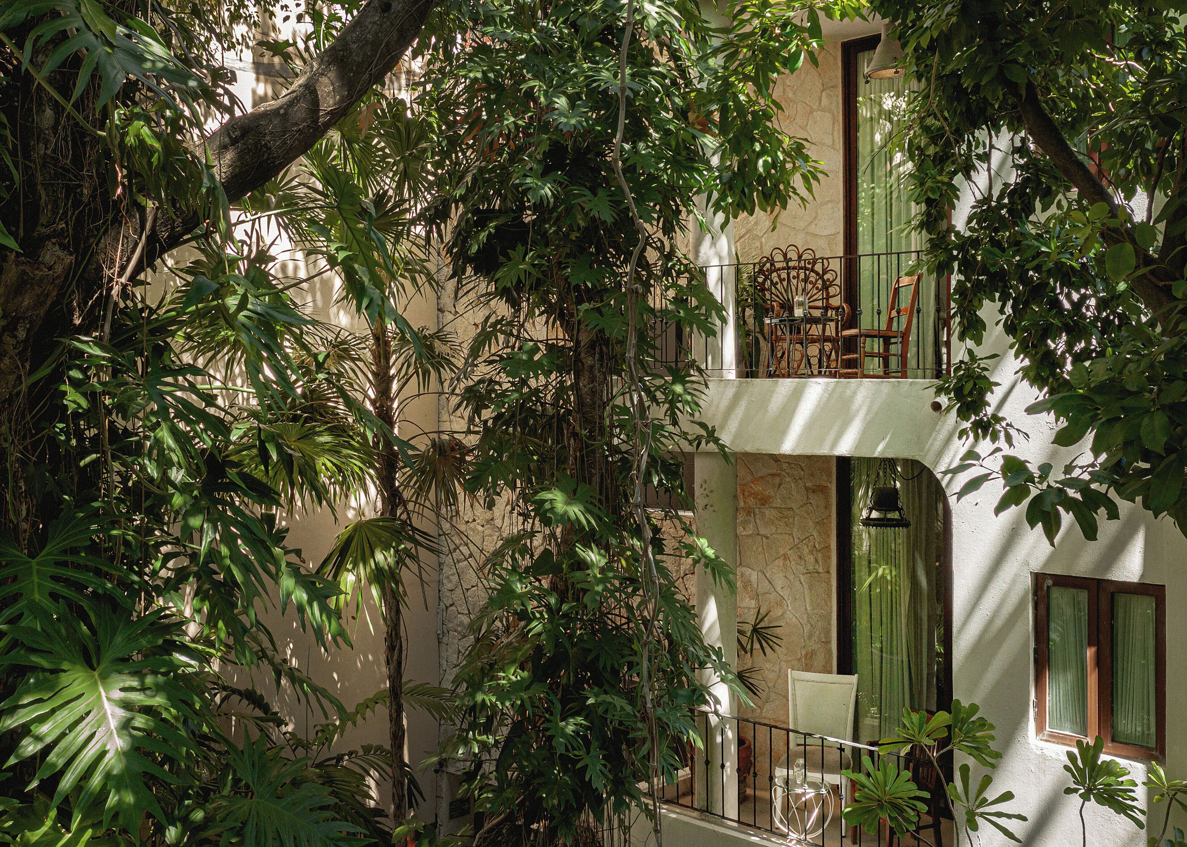 Foto - Hotel La Semilla a Member of Design Hotels