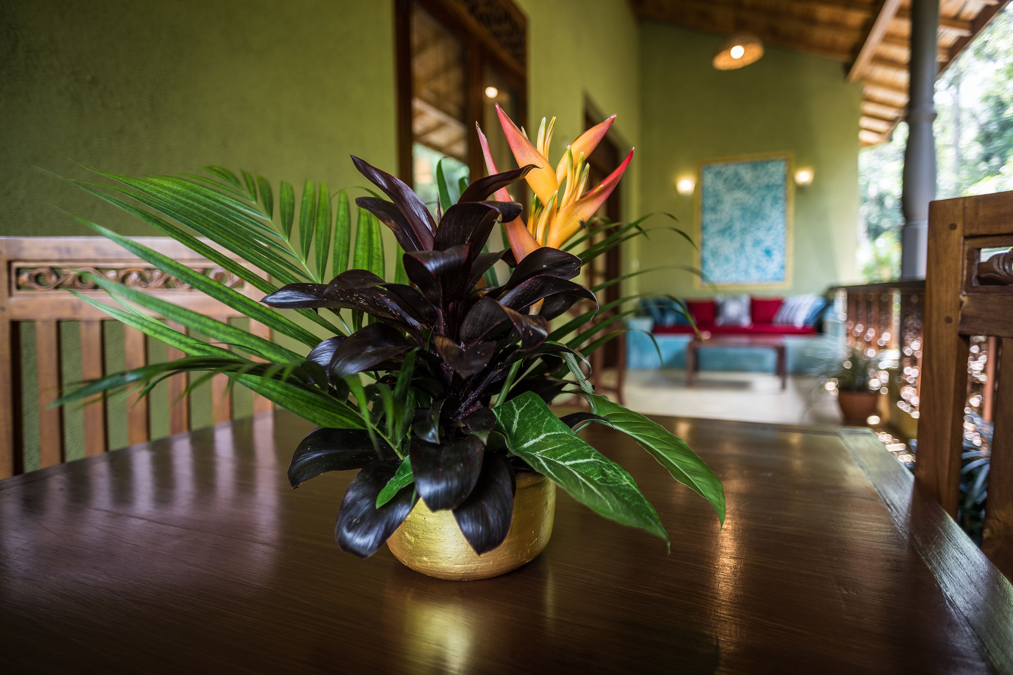 basic twin room, 2 single beds, balcony, corner | terrace/patio