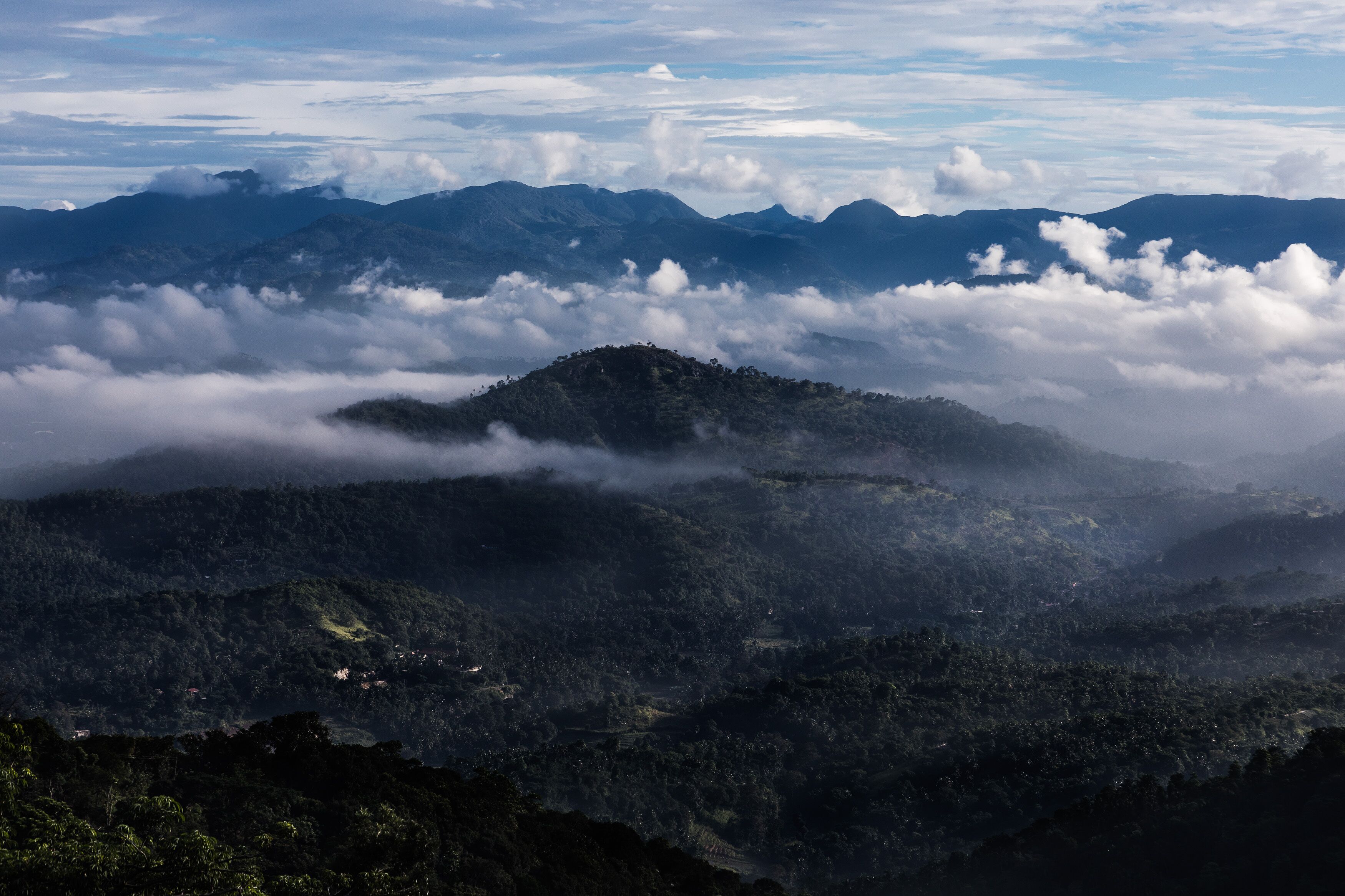 superior suite, 1 king bed | balcony view