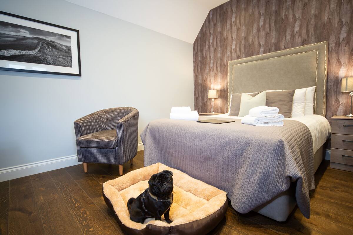 Een hotelkamer met een bed, een stoel, een hondenbed en een ingelijste foto aan de muur.