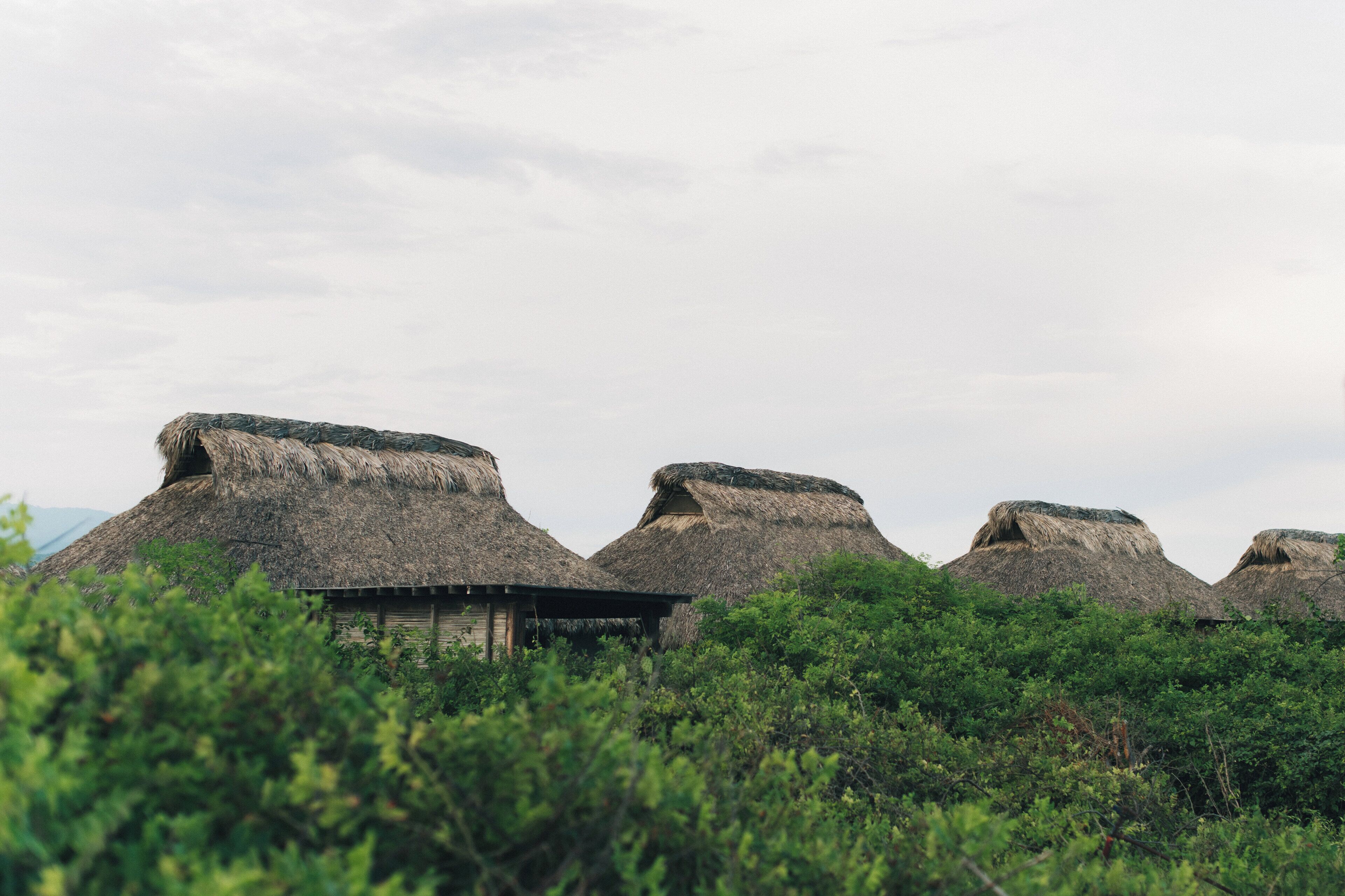 Thatched-roof huts with a thatched roof and a wooden structure in the foreground.