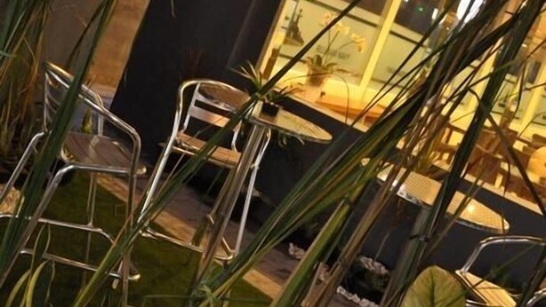 An outdoor seating area with metal chairs and tables, surrounded by tall plants. - Dermaga Keluarga Hotel (Yogyakarta)