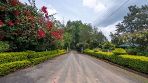 A paved road flanked by neatly trimmed hedges and flowering plants. - Hotel Troy (Nairobi)