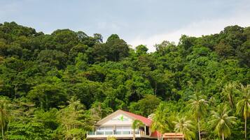 On the beach, white sand, sun-loungers, scuba diving