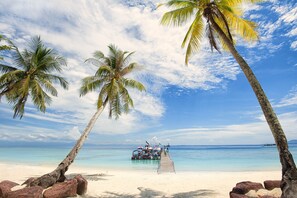 A beach with a wooden pier, palm trees, and a clear blue sky. - Summer Bay Resort, Lang Tengah Island (Lang Tengah Island)