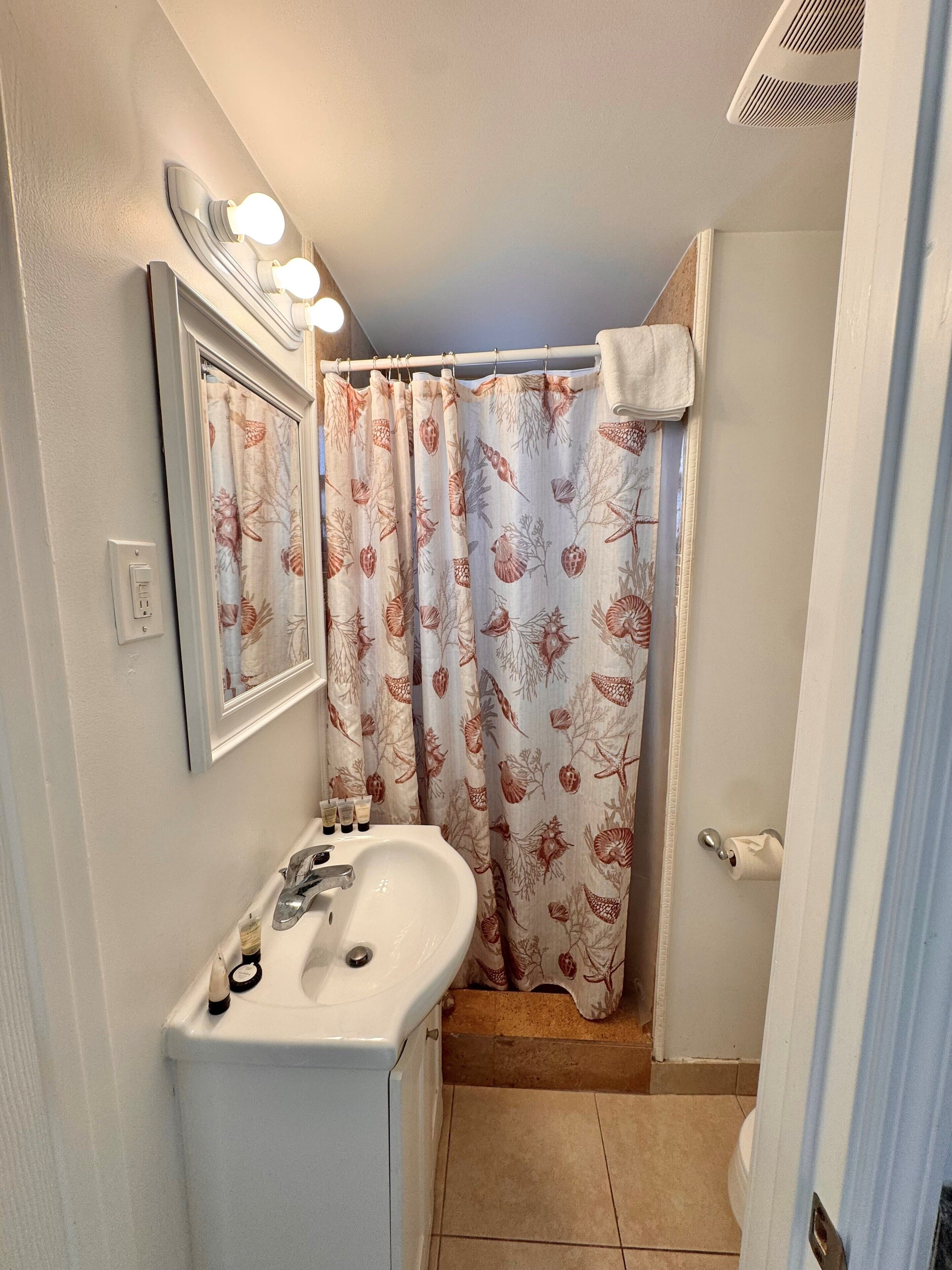 A bathroom with a sink, mirror, and shower curtain.