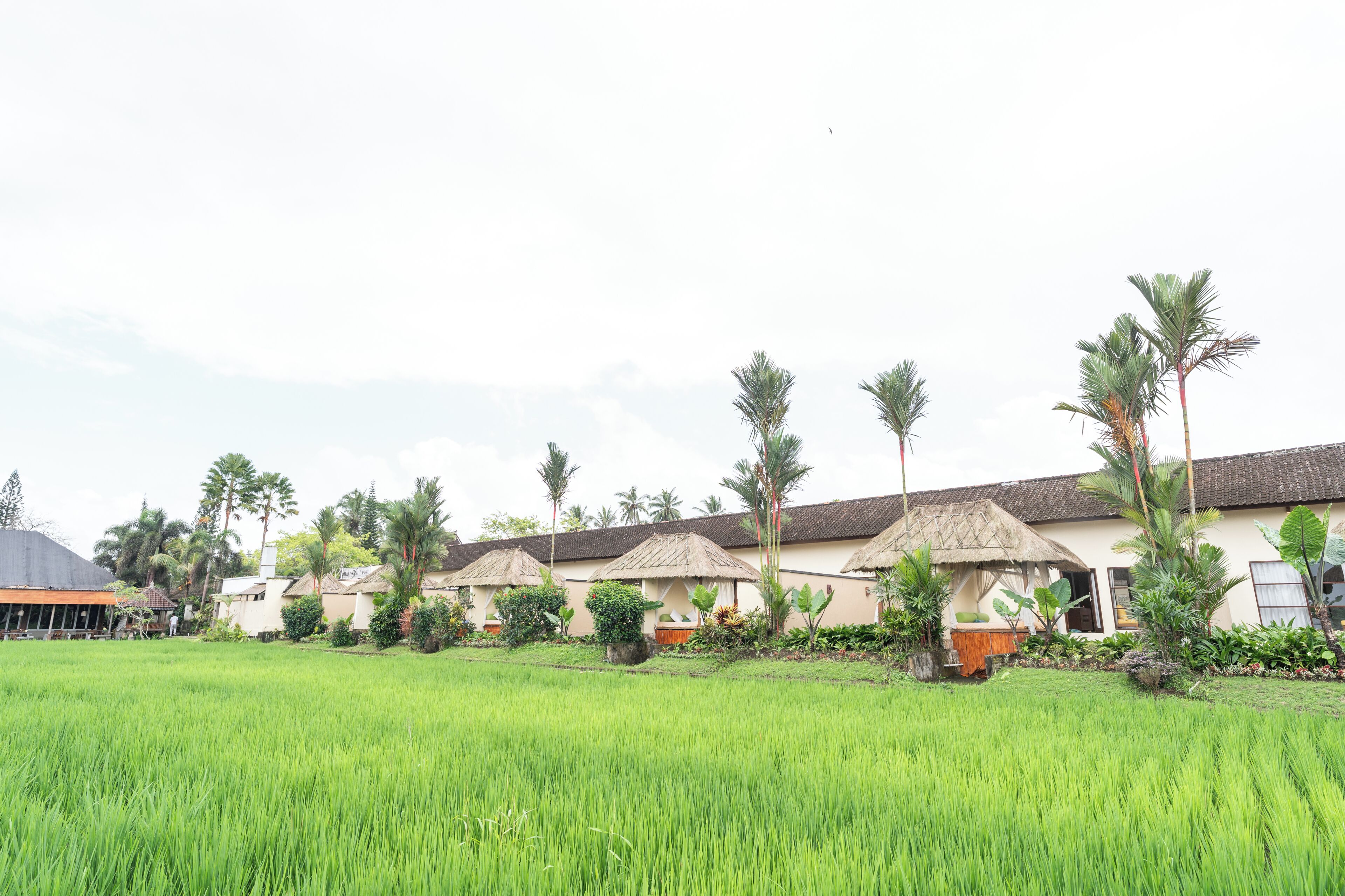 Foto - Alam Puisi Villa