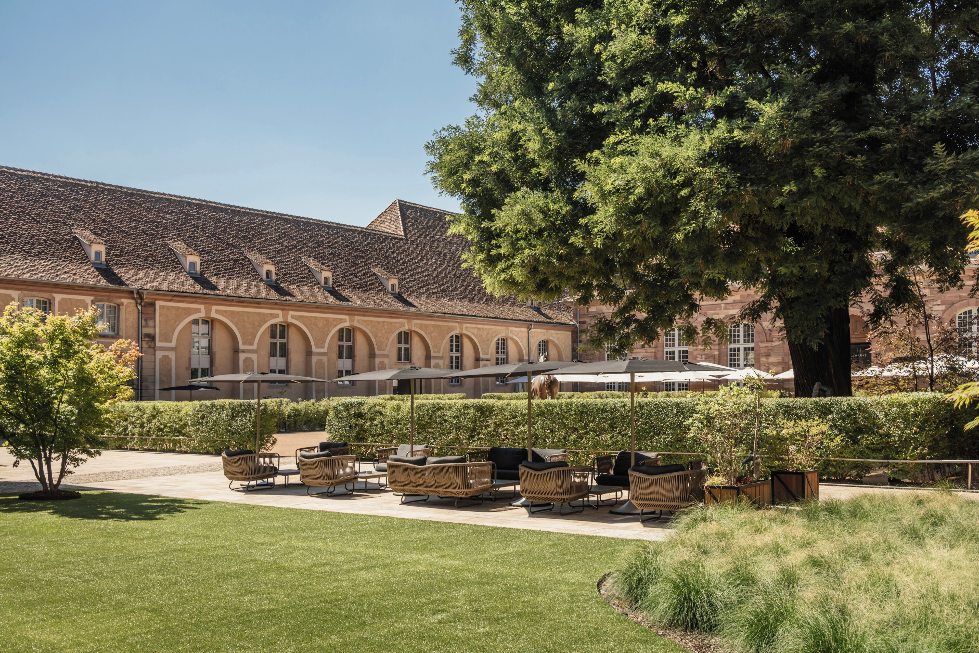 A courtyard with outdoor seating, a large tree, and a building with a tiled roof.