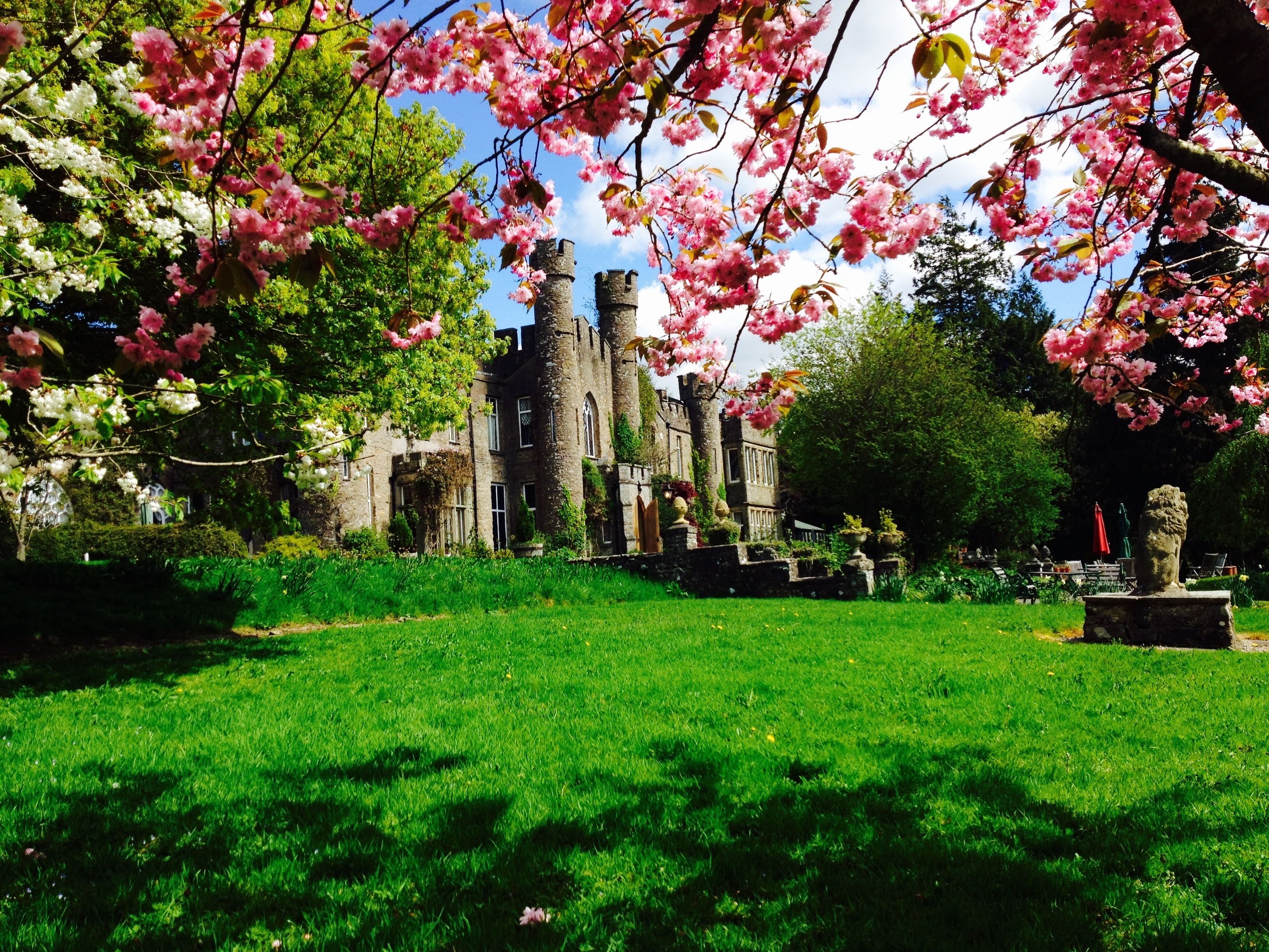 Un château avec une pelouse bien entretenue et des cerisiers en fleurs au premier plan.