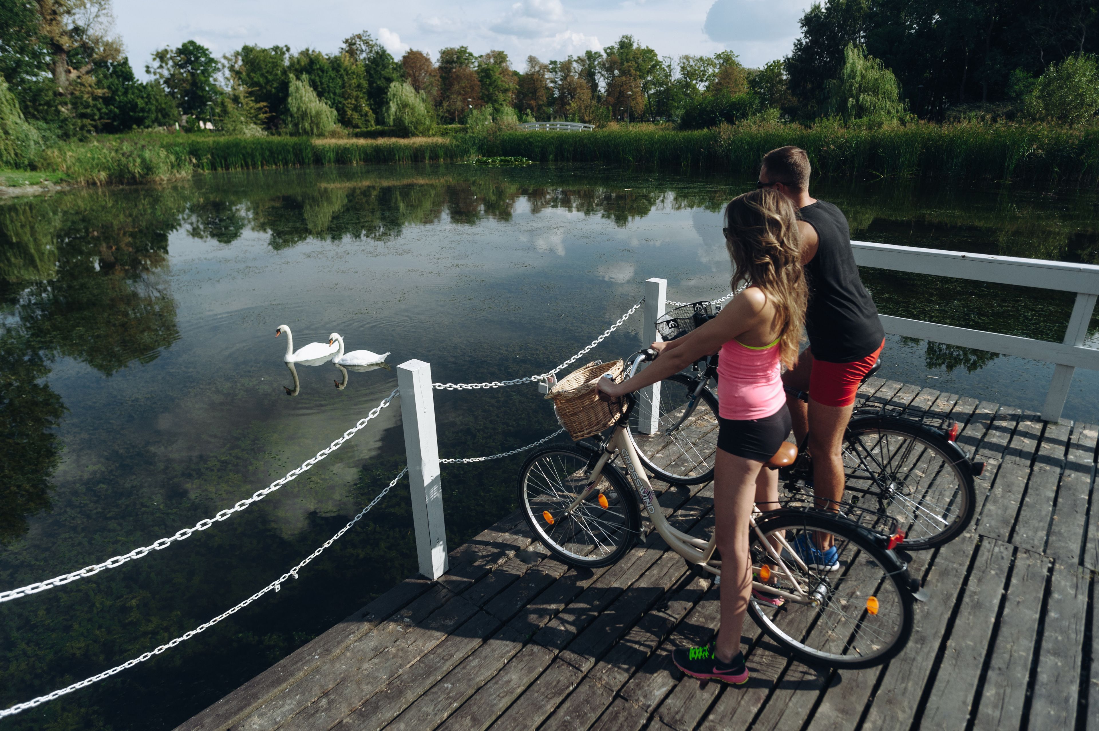 Un muelle de madera con una cerca de cadena, cisnes en el agua y bicicletas.