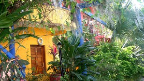 Jardín