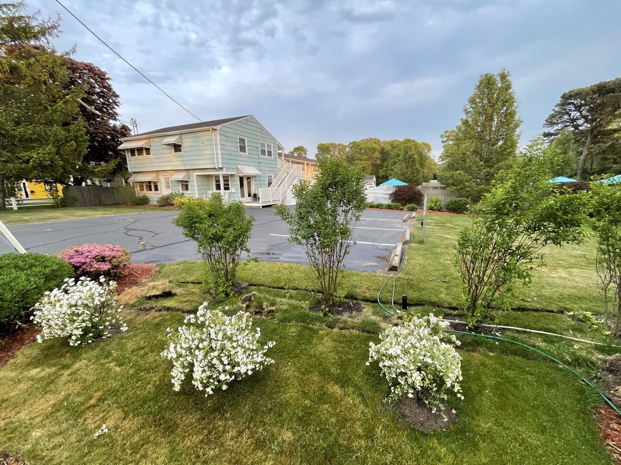 Un quartier résidentiel comprenant une maison à deux étages, un parking et de petits arbustes fleuris.