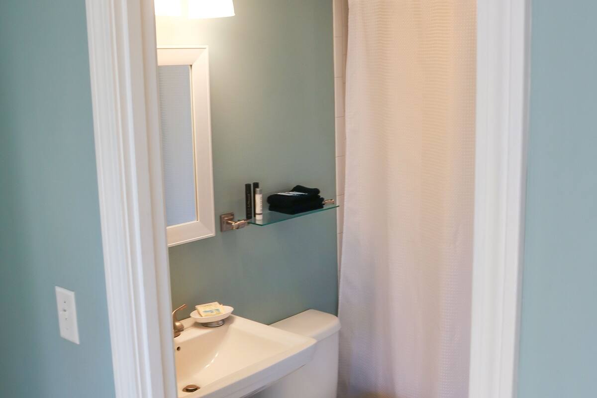 deluxe room, 1 king bed | bathroom | combined shower/bathtub, free toiletries, hair dryer, towels
