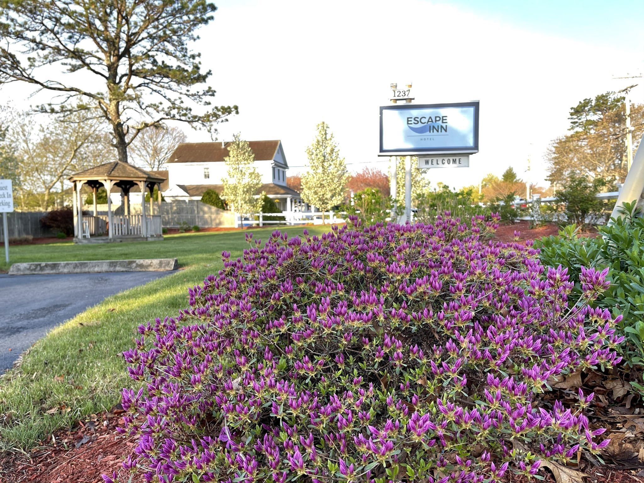 Un jardín con flores moradas, un pabellón y un letrero del Hotel Escape Inn.
