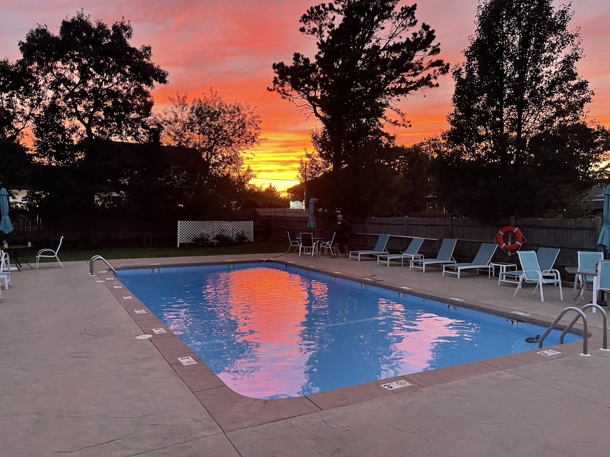A swimming pool with lounge chairs and a lifebuoy, surrounded by trees and a fence.