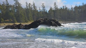 A rocky shoreline with waves crashing against it, surrounded by dense forest. - Wya Point Resort (Ucluelet)