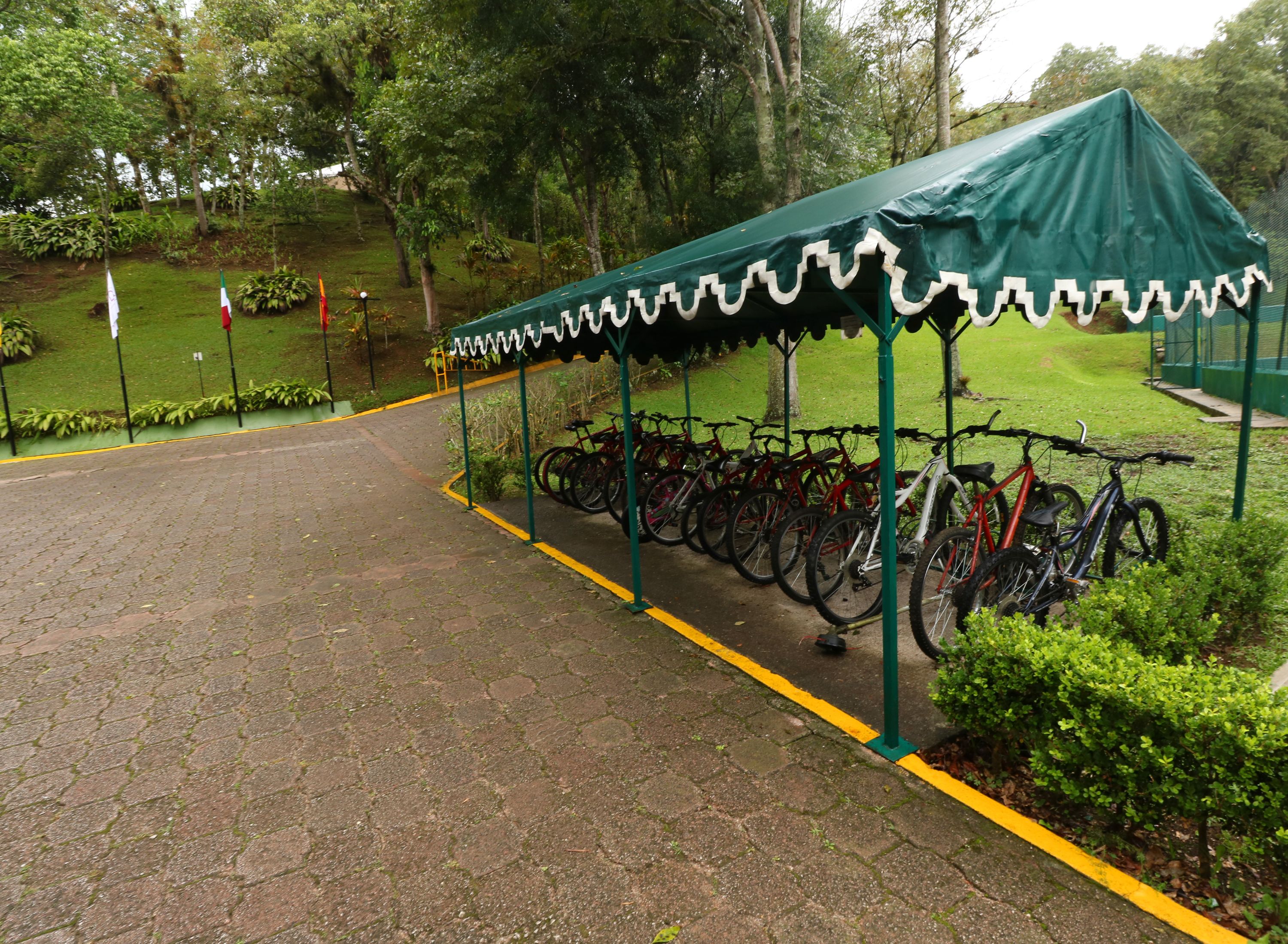 Ein überdachter Fahrradparkplatz mit einer Reihe Fahrräder, einem befestigten Weg und Grünflächen im Hintergrund.