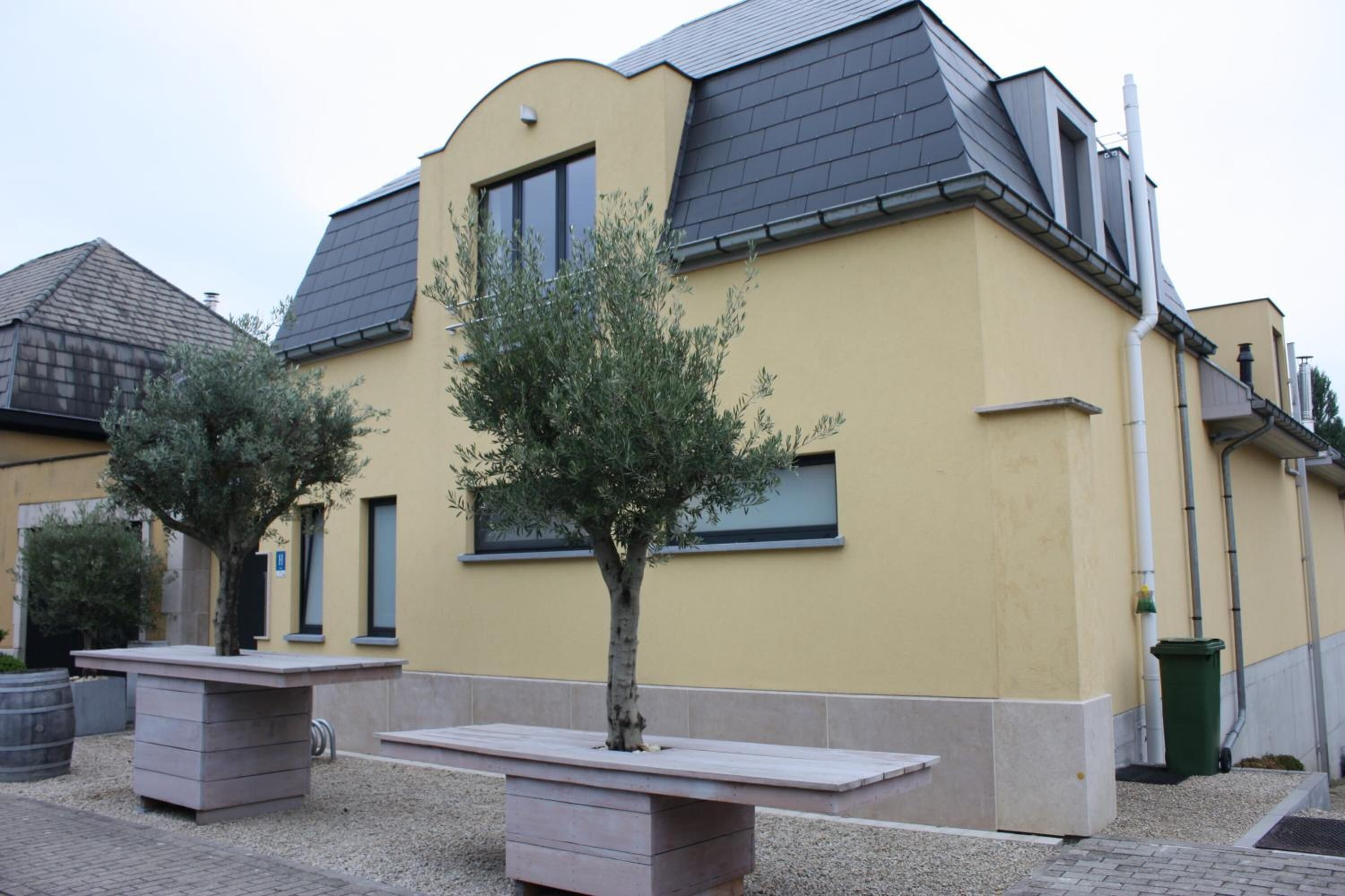 Ein Gebäude mit gelber Fassade, grauem Dach und einem kleinen Baum im Vordergrund.