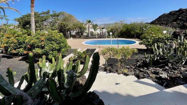 Una piscina rodeada de cactus y palmeras, con un cielo azul despejado.