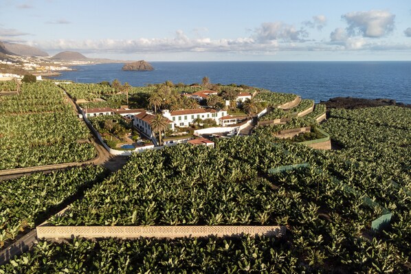 A coastal property with a central building surrounded by lush vegetation and a view of the sea. - Hotel El Patio (Garachico)