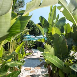 Jardim