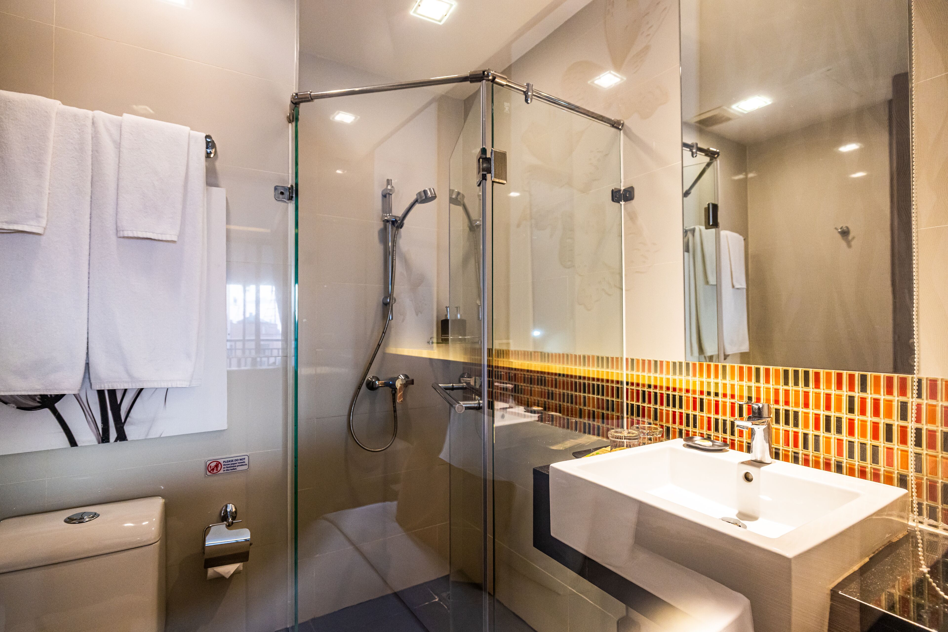 shower, free toiletries, hair dryer, towels