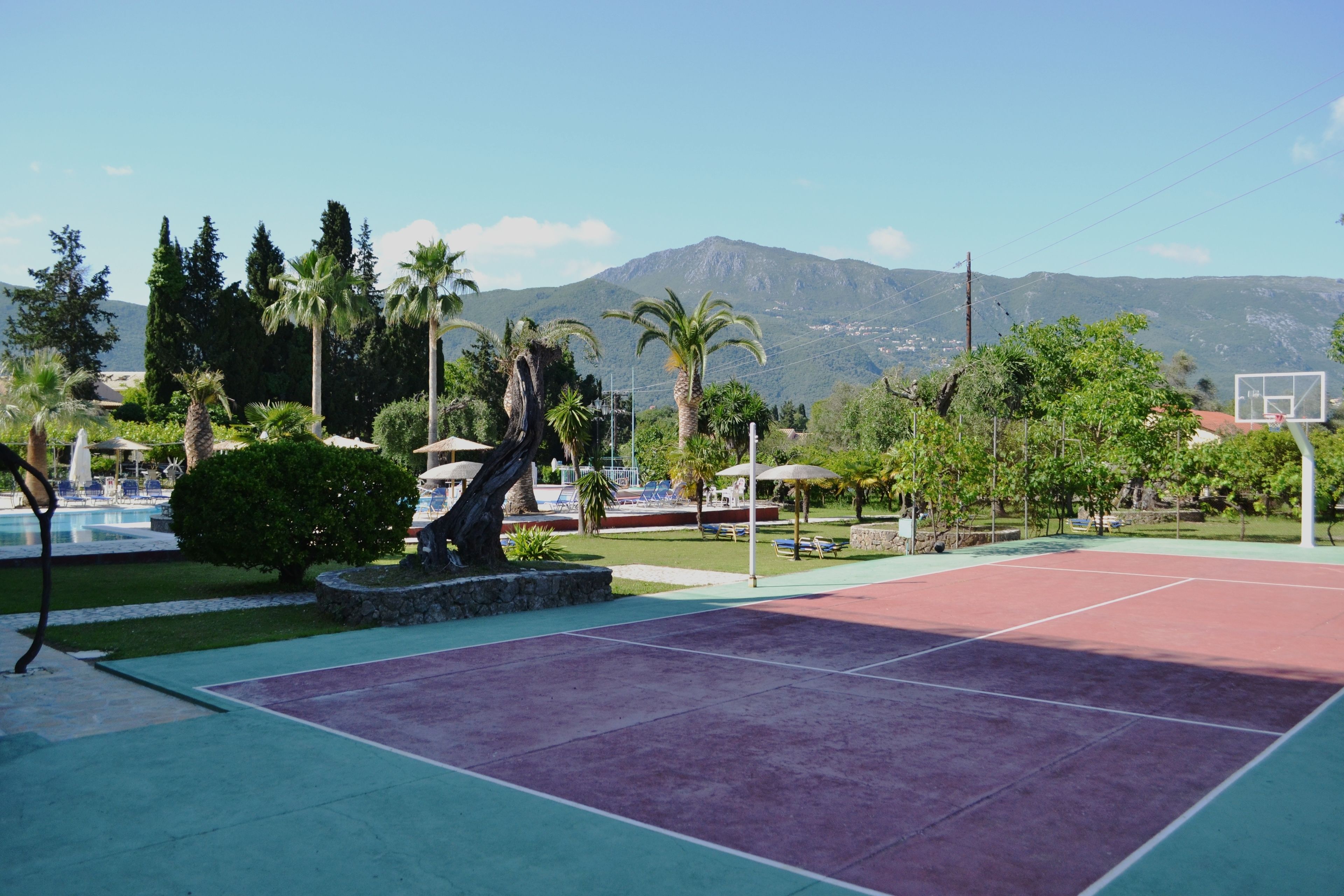 basketball court