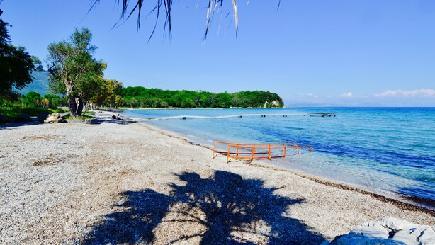 A beach with pebbles, a wooden barrier, and a clear blue sea. - Hotel Paloma Blanca (Corfu)