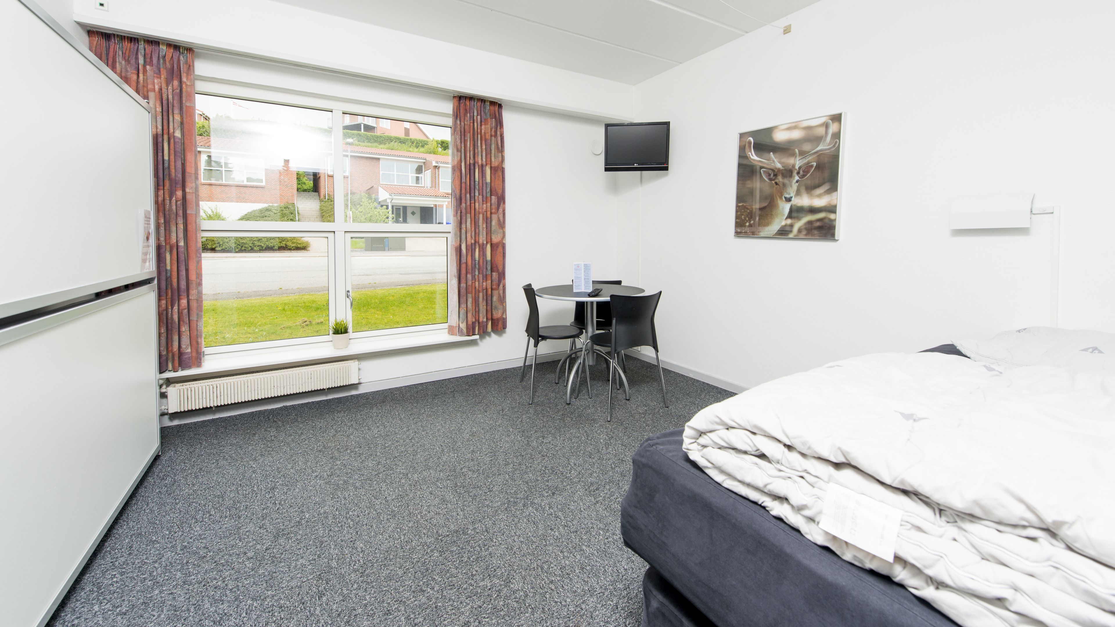 Foto - Danhostel Vejle