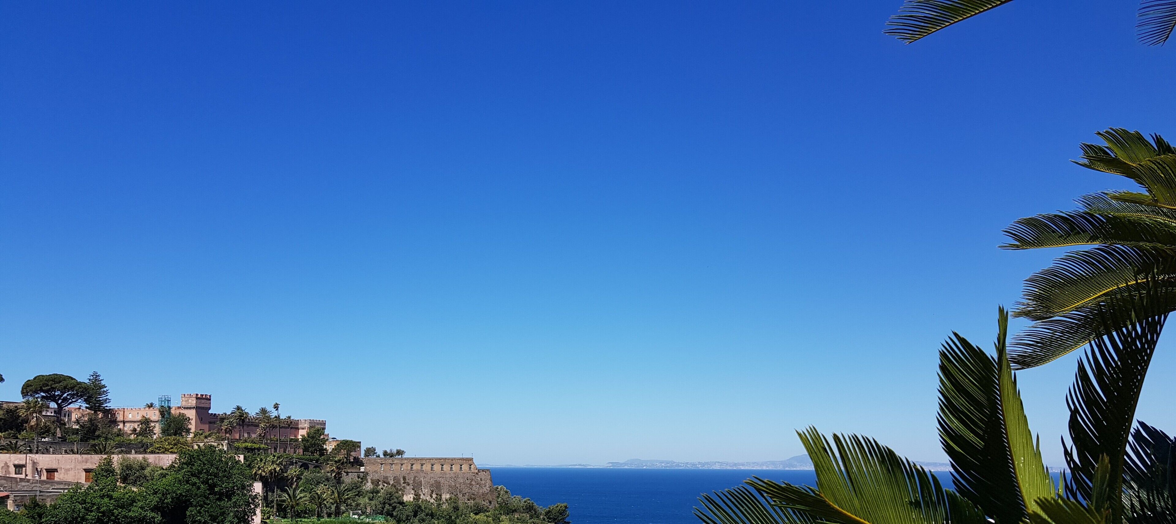 A coastal view with a historic building complex, palm trees, and a clear blue sky.