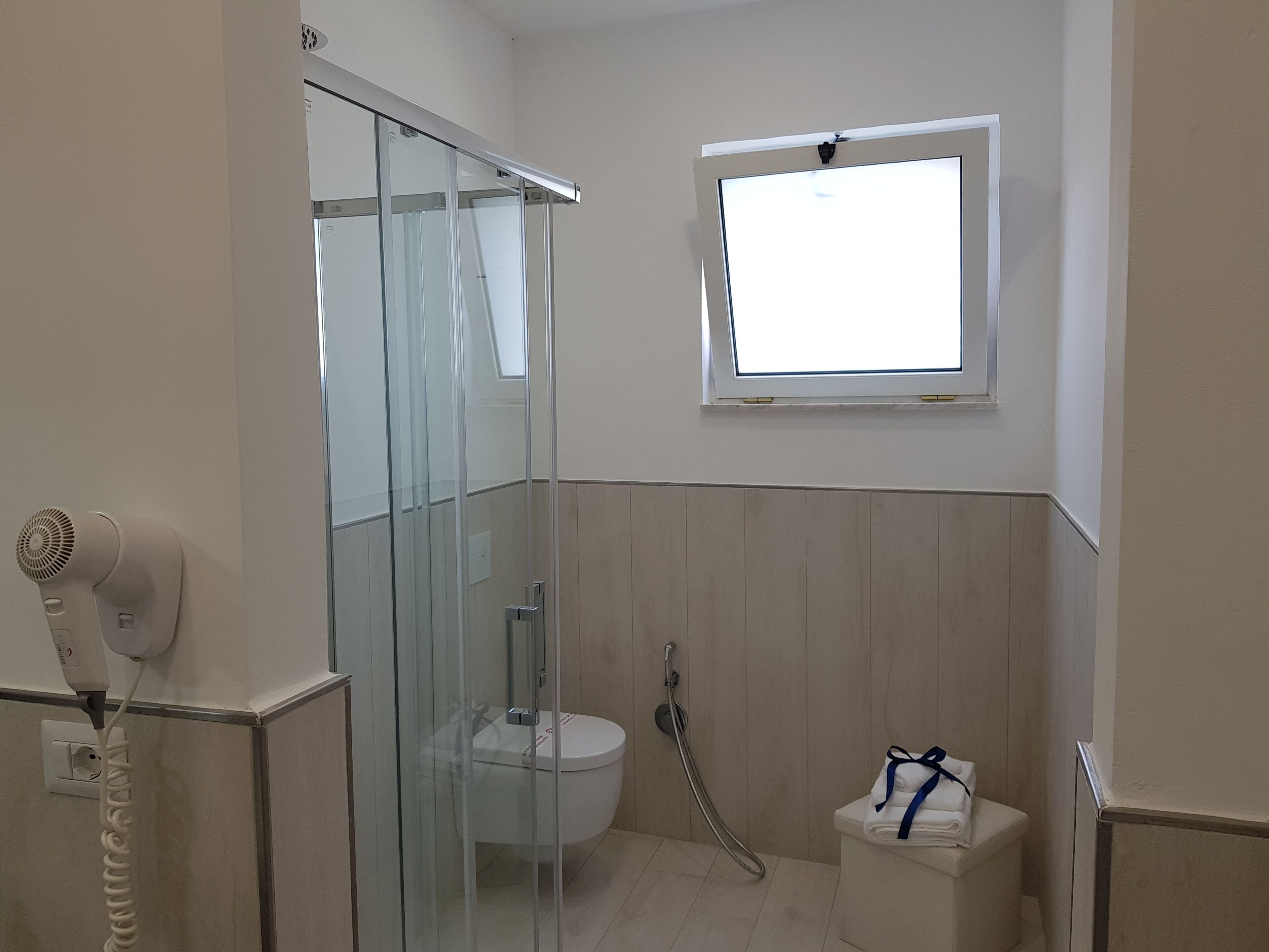 A bathroom with a glass shower enclosure, a toilet, a handheld showerhead, and a hairdryer plugged in.