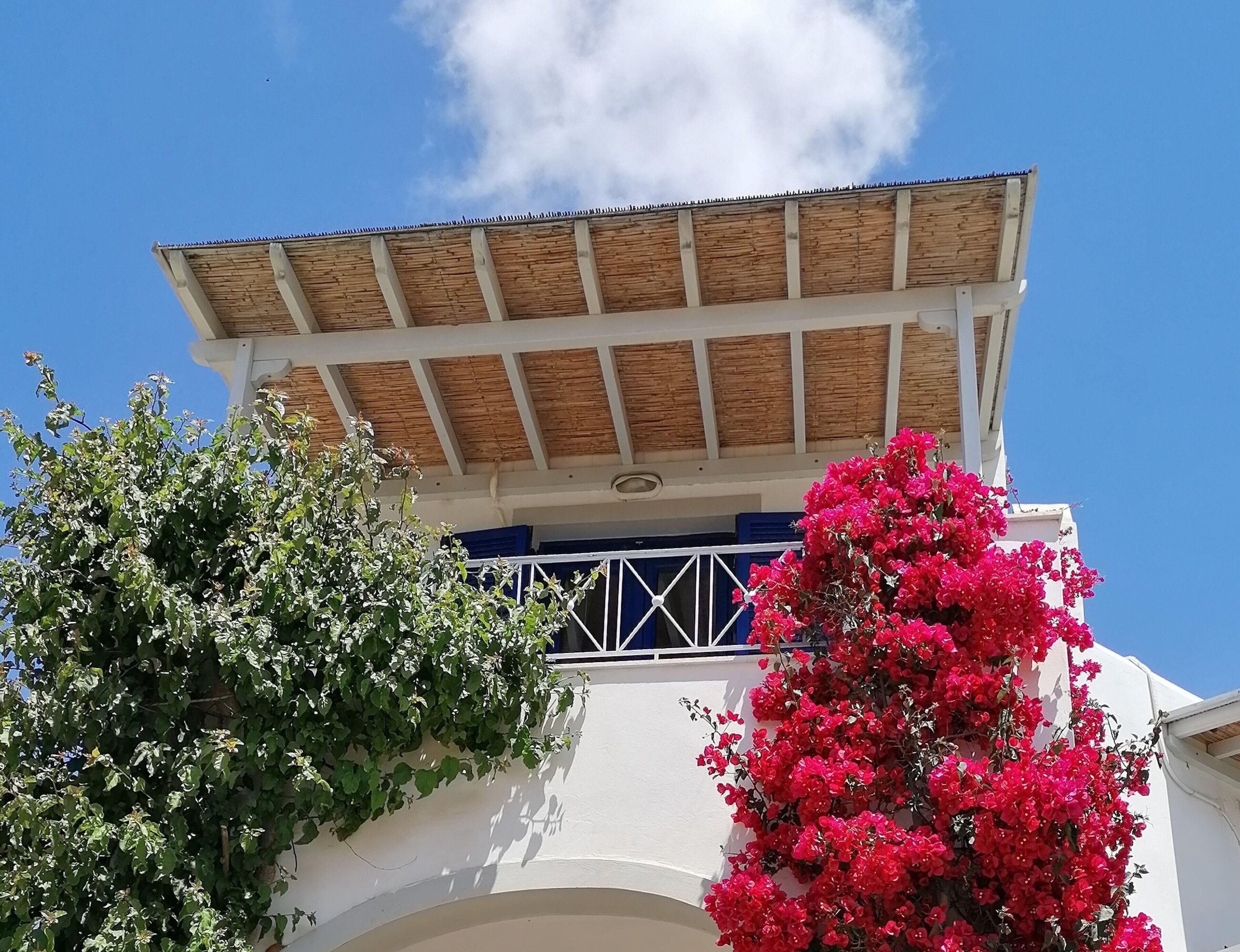 comfort double room, sea view | terrace/patio