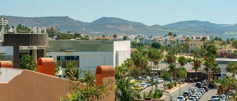 Zona residencial con fila de coches aparcados, palmeras y una montaña al fondo.