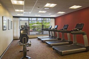 A gym with treadmills, a stationary bike, and a rowing machine.