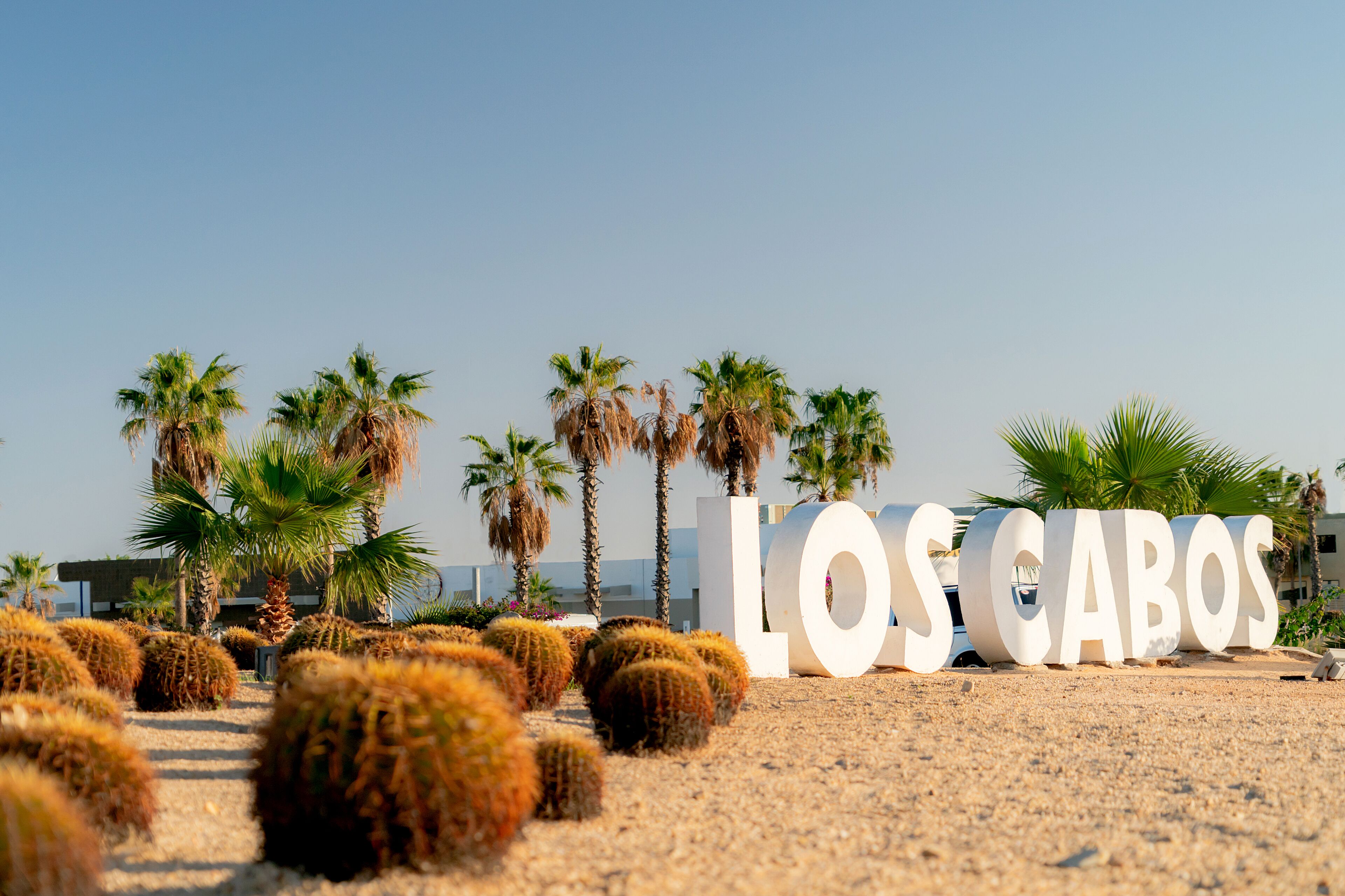 A desert landscape with cacti and palm trees, and large white letters spelling "LOS CABOS".