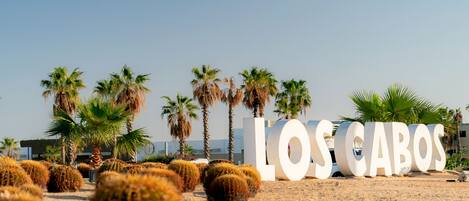 A desert landscape with cacti and palm trees, and large white letters spelling "LOS CABOS".