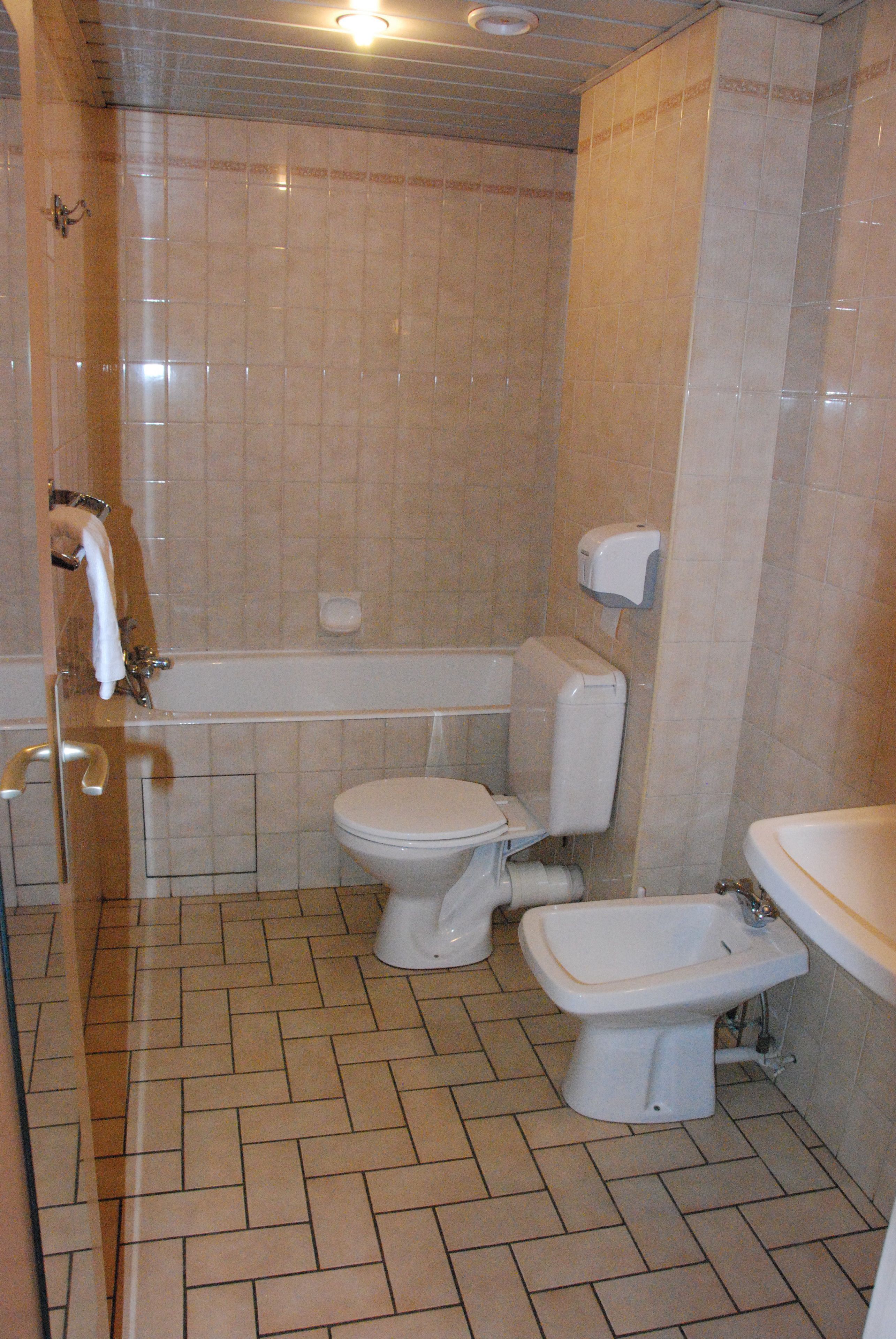 triple room | bathroom | shower, free toiletries, hair dryer, bidet