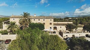 A stone building with multiple windows and a palm tree in front. - Finca Can Estades (Calvia)