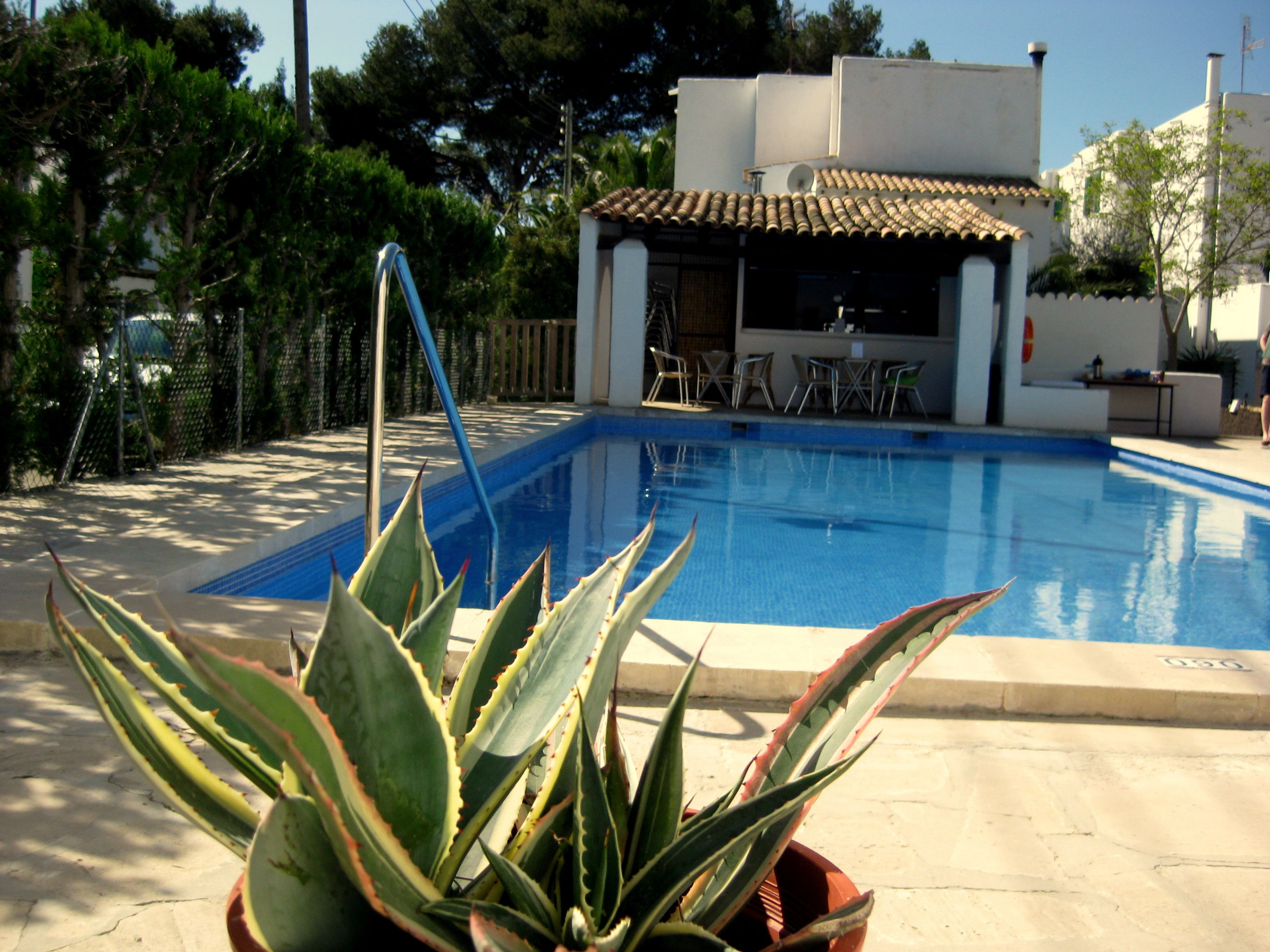 Una piscina con cubierta de baldosas, rodeada por una valla y macetas con plantas.