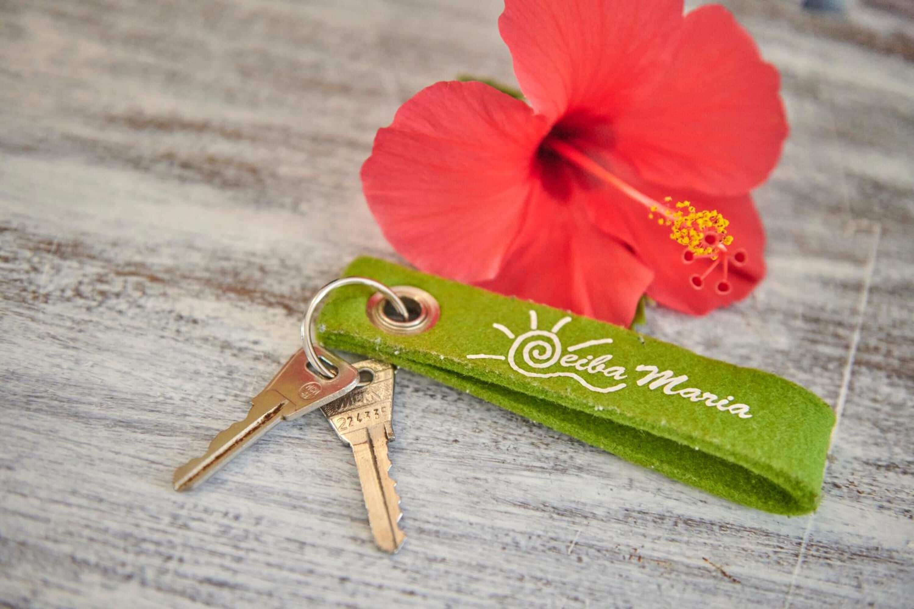 A keychain with a key and a green tag labeled "Cecilia Maria" on a wooden surface.