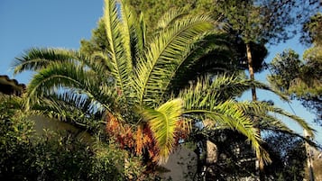 Àrea exterior de l'allotjament
