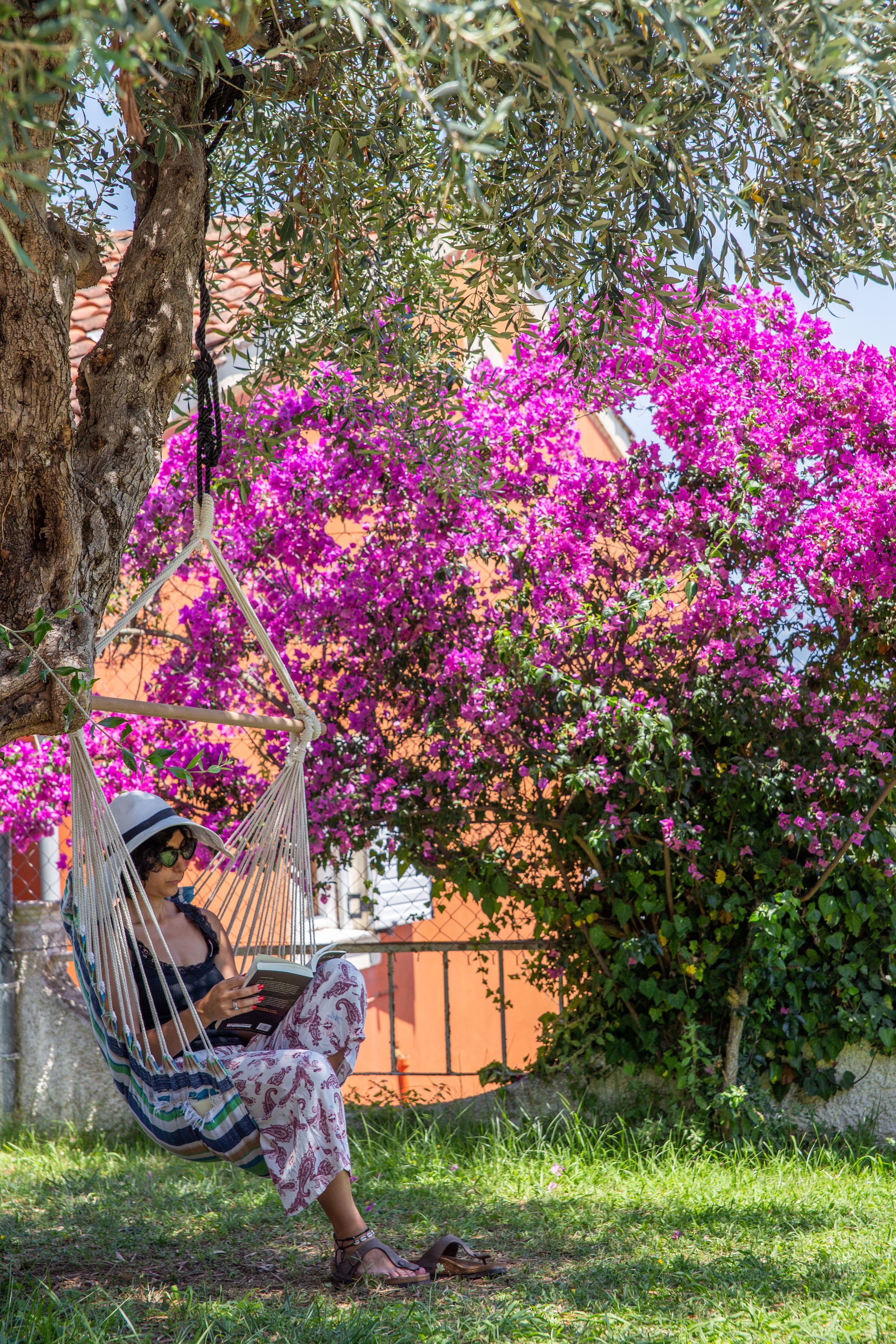 A hammock under a tree with purple flowers, grass, and a building in the background.