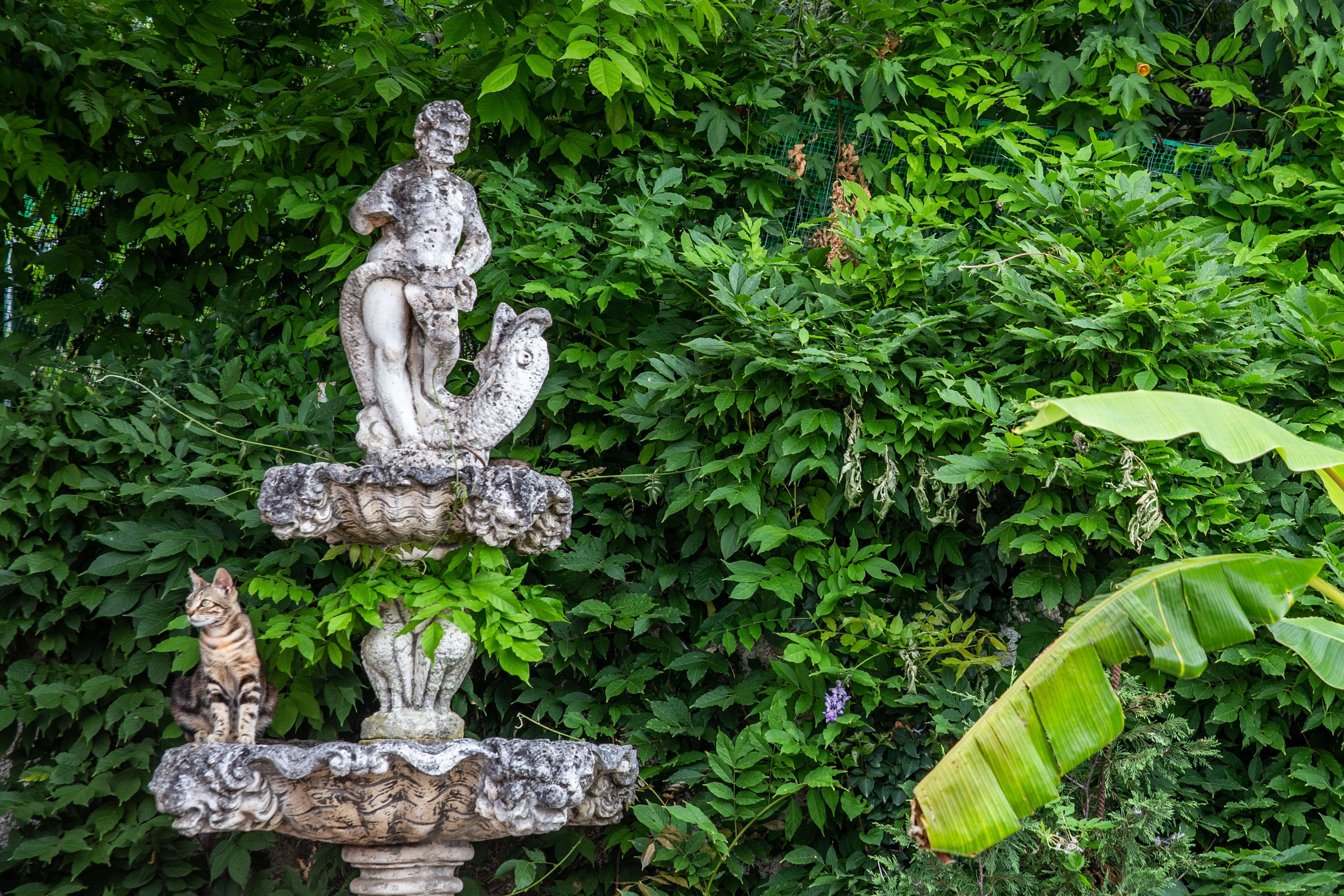 Una fuente de piedra con una estatua de gato, rodeada de abundante vegetación.