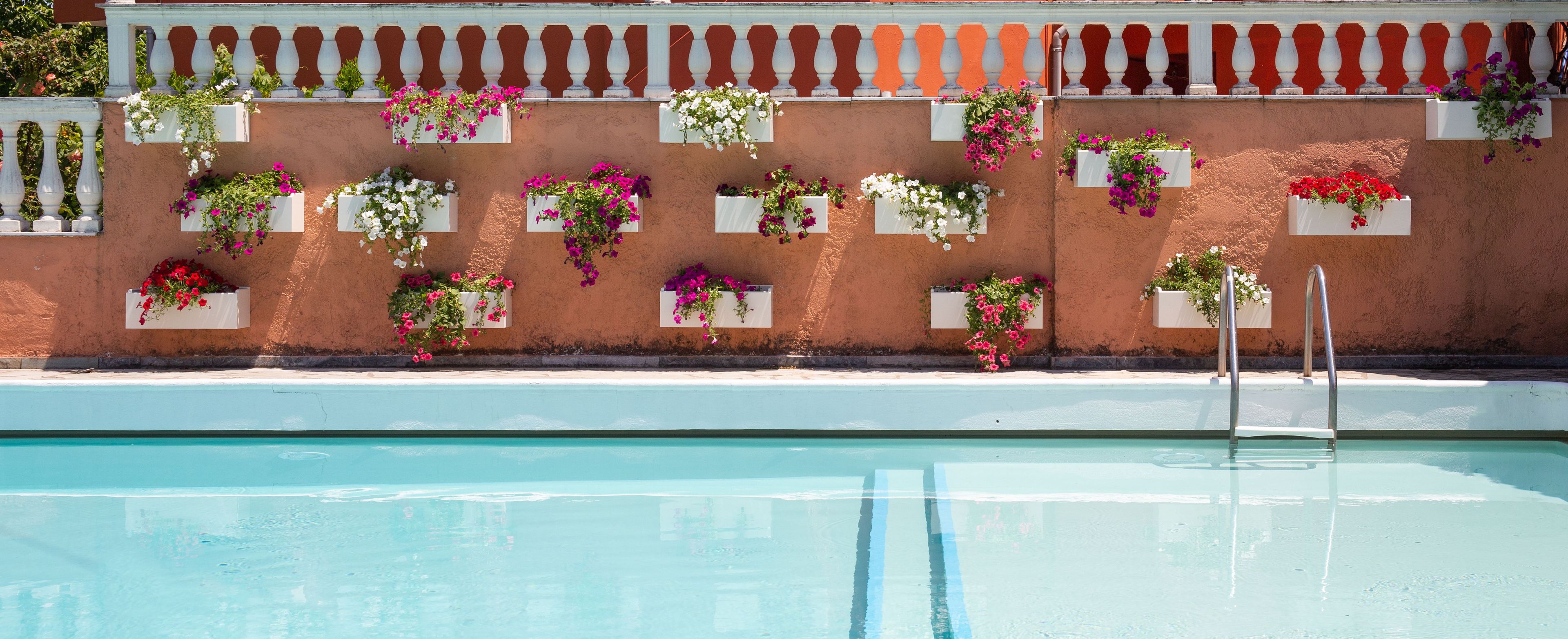 A swimming pool with a tiled edge and a wall adorned with flower planters.