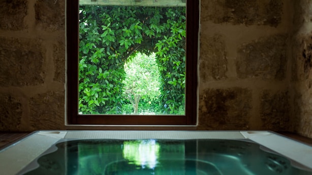 Un espace spa doté d’un bain à remous et offrant une vue sur un arbre verdoyant, visible à travers une fenêtre.