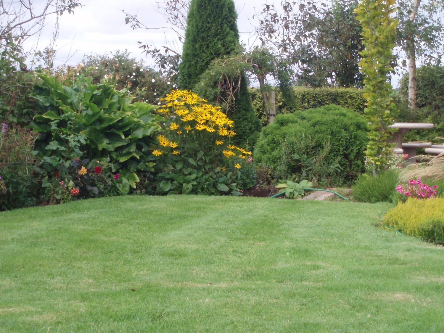 Een goed onderhouden tuin met diverse planten en bloemen, een verzorgd gazon en een stenen bank.