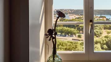 Superior Double Room | View from room